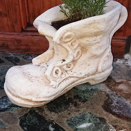 Bed & Breakfast Maison Odille 3*