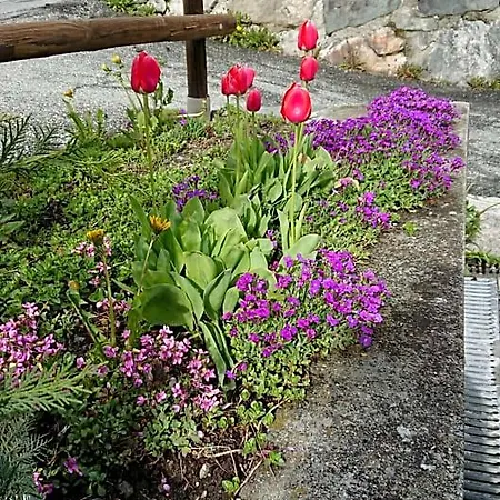 Bed & Breakfast Maison Odille