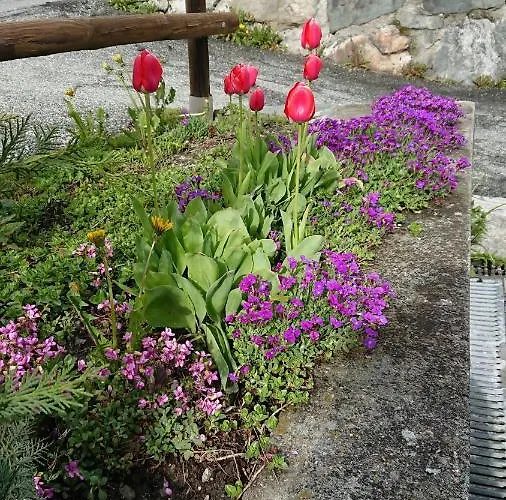 Maison Odille 3* Valtournenche