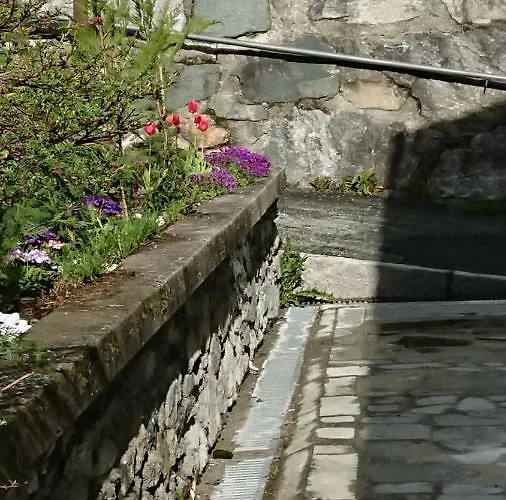 Couette-café Maison Odille 3*